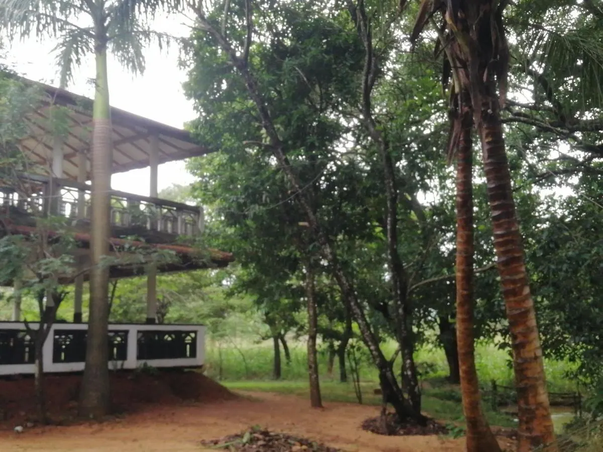 فندق مبيت وإفطار سيغيرِيا Jungle Nature Villa سريلانكا