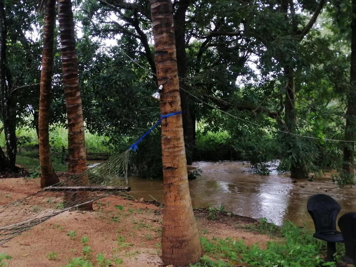 سيغيرِيا Jungle Nature Villa