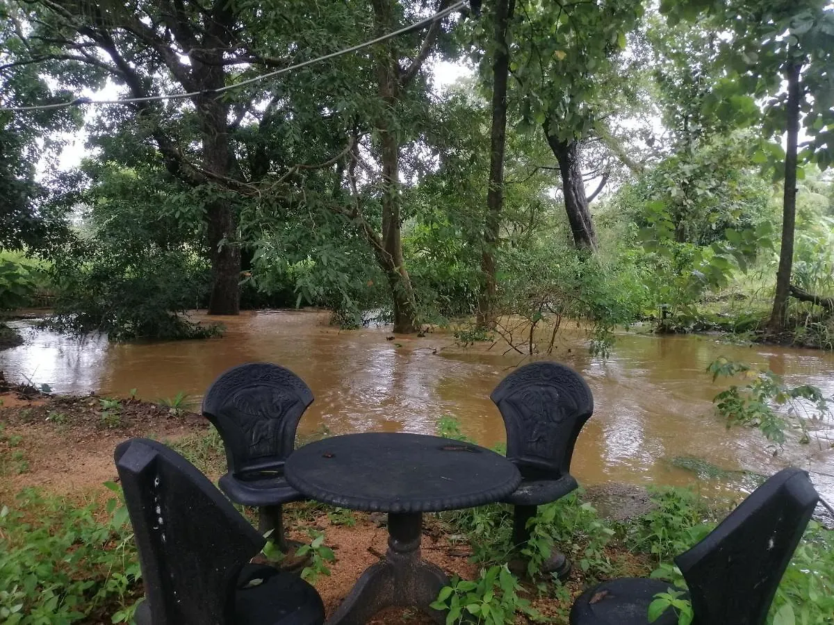 فندق مبيت وإفطار سيغيرِيا Jungle Nature Villa