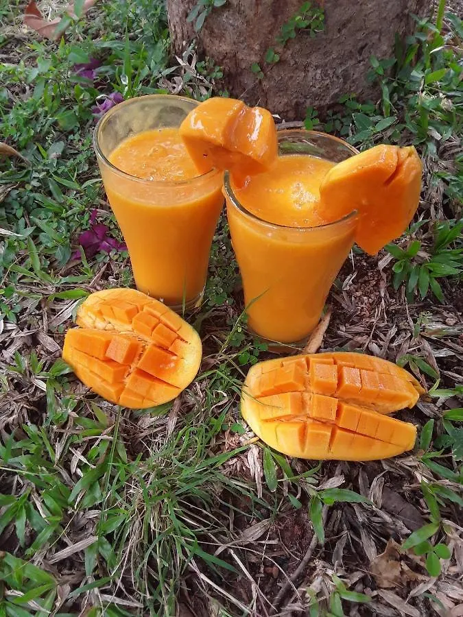 فندق مبيت وإفطار سيغيرِيا Jungle Nature Villa